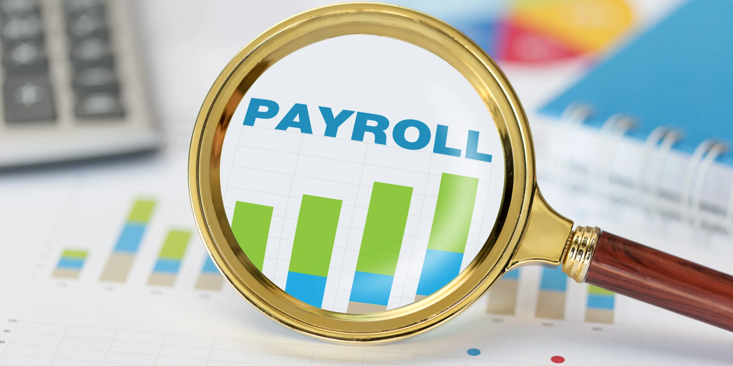 Payroll, WPS, & HR Financial Compliance